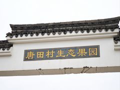 -四明山国家森林公园