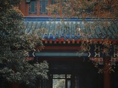 -灵谷景区