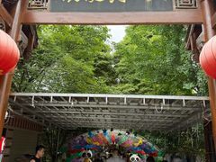-水岸庭院·乡村柴火鸡
