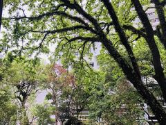 -大埔公路-马料水段香港中文大学(公交站)