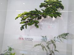 -深圳麦芽口腔医院(罗湖总院)