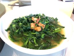 广东豆苗-金苑海鲜酒家(来魅力店)