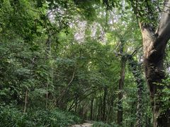 -采石矶景区