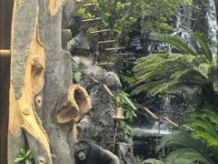 -祥源·阜阳生态乐园