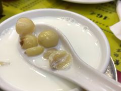 -澳洲牛奶公司(佐敦店)