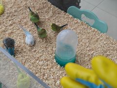 -怪兽屋·羊驼·猫咖·狗咖(俊华广场店)