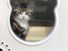 -萌兽医馆·眼科·异宠专科(三里屯店)