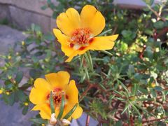 -普陀山风景名胜区-法雨禅寺