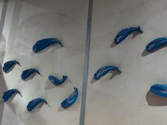 -鸣记脆皮烤鱼(岐山路店)