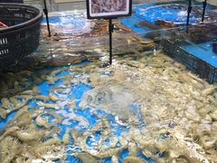 -渔乐圈海鲜餐厅(群力金江路店)