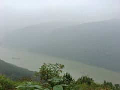 -铁山坪森林公园