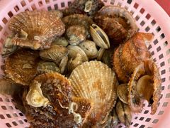 -港畔赶海蒸汽海鲜烧烤自助(仙螺岛店)