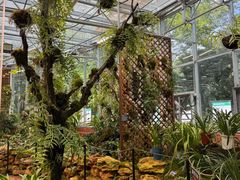 -国家植物园南园