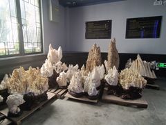 -游龙石文化科普馆