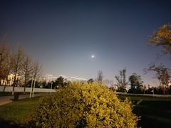 -灞河西岸滨河公园