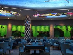 -瑞德姆美人鱼海底演艺主题餐厅(亚龙湾店)