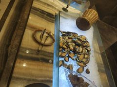 -福州西湖大酒店·怡湖咖啡厅