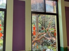 -美食小镇·观赏珍稀鸟类·长隆熊猫酒店
