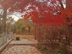 -淄博聊斋城景区