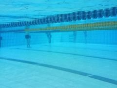 -奥林匹克体育中心游泳跳水中心