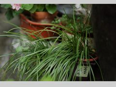 -行人小筑·茶馆(岑村火炉山分店)