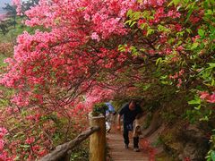 -木兰云雾山