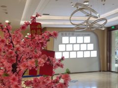 -合肥美奥口腔·种植矫正中心(政务院)