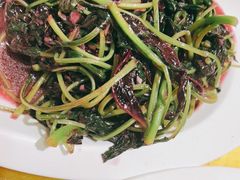 -蜀竹情酒楼(北营房店)