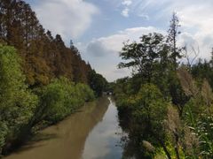 -上海长兴岛郊野公园