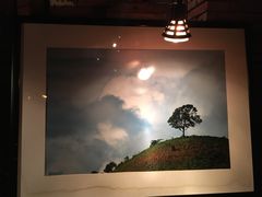 -花马天堂云南餐厅 Lost Heaven(高邮路店)