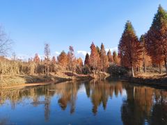 -捞渔河湿地公园