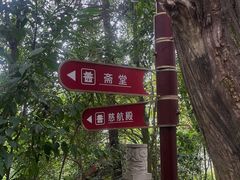 -老君山