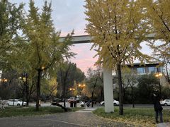 -西安曲江寒窑遗址公园