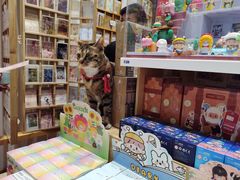 -猫的天空之城概念书店(杭州南宋御街店)