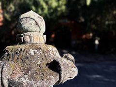 -天台山国清景区(国清寺)