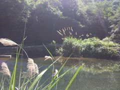 -白云源风景区