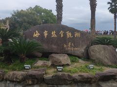 -观潮胜地公园