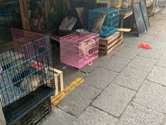 景点-嘉兴月河历史街区