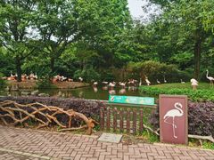 -上海野生动物园