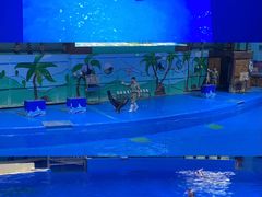 -石家庄极地海洋世界