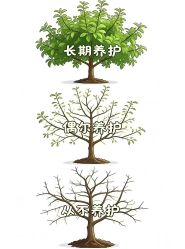 -紫琪尔胸部养护中心