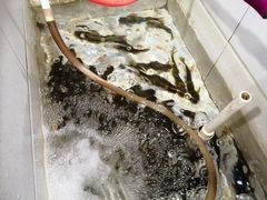 -山城家常菜铁锅炖鱼