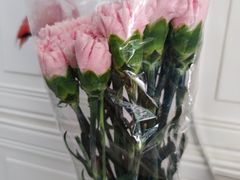 -漫生活烘焙·无糖蛋糕·动物奶油