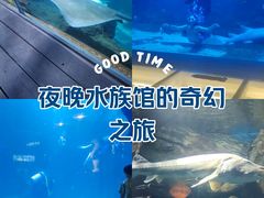 -石家庄海洋公园