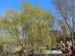 -长白岛森林公园