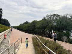 -宝安西湾红树林湿地公园