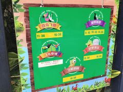 -广州长隆飞鸟乐园