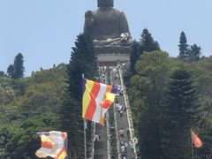 -宝莲禅寺