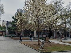 -护国法轮寺