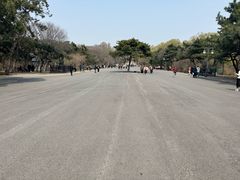 -北陵公园